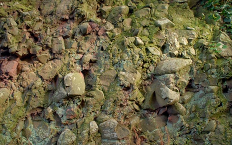 Another bed within the Luccombe Breccia is this boulder bed, a coarse conglomerate of generally large water-rounded rocks. This is suggestive of periodic flash floods tumbling these great lumps along and dumping them in seasonal watercourses which dry out and bake between floods.