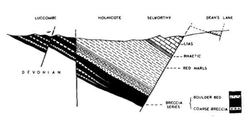 Cross section showing the steeply dipping and faulted Luccombe breccia. Also shown are the various beds within the breccia. Copyright AN Thomas (1940), the Geologists' Association.
