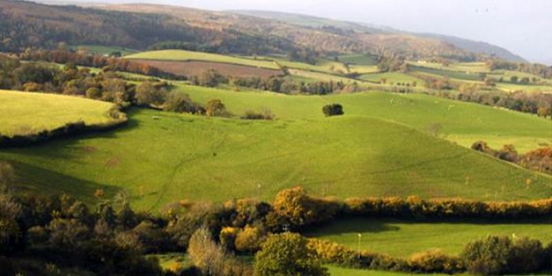 The Knowles: Porlock Vale looking NW, Wootton Knowle in the foreground, Holt Knowle behind, and behind that to the left Knowle Top. Behind that again, and to the right, Huish Ball Steep. There are also two small Knowles behind Huntscott. Tivington Knowle is to the right, out of the picture.