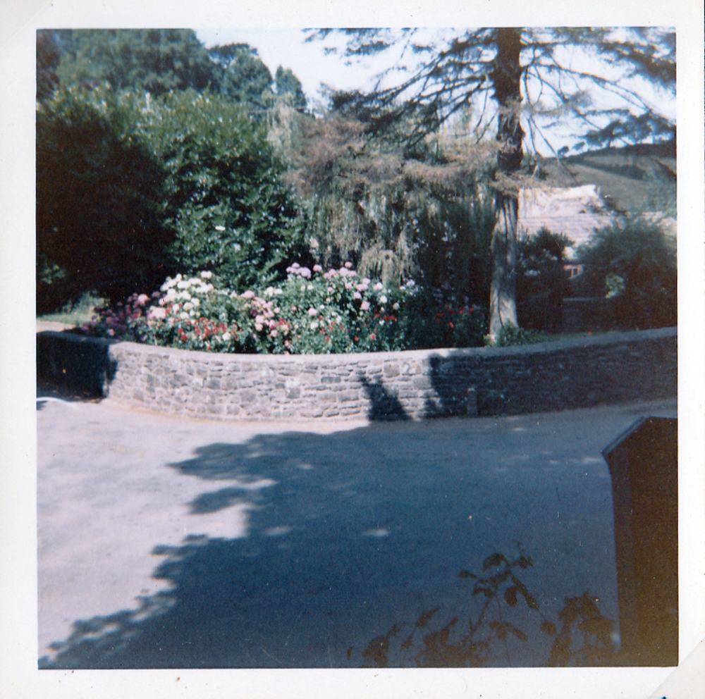 The Botanical in Luccombe