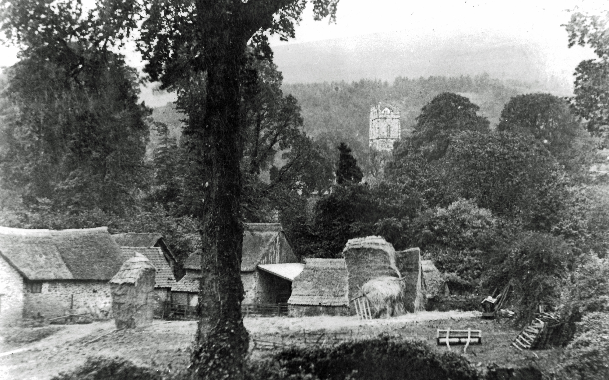 East Luccombe Farm